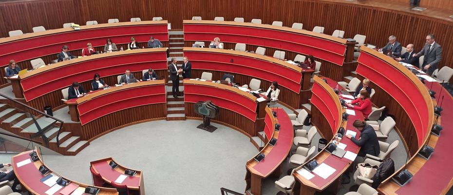 Eletti i componenti delle commissioni elettorali. Nel Forum per la pace Coppola, Maule e Brunet. Nella Cpo Stefania Cavagnoli e Dominique Cappelletti