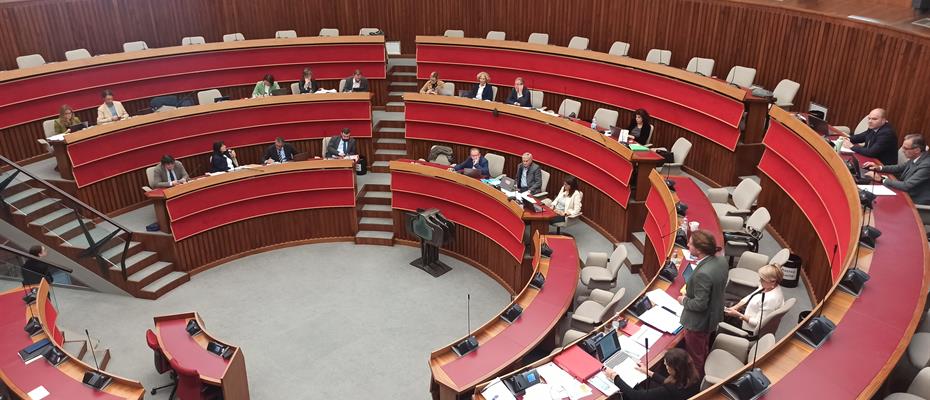 Aula, prosegue la trattazione degli ordini del giorno