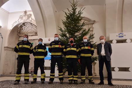 Un grande albero di Natale innalzato a palazzo Trentini dai vigili del fuoco volontari di Borgo 