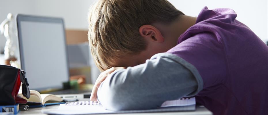 Un Disegno Di Legge Per Prevenire E Contrastare Il Bullismo E Il Cyberbullismo