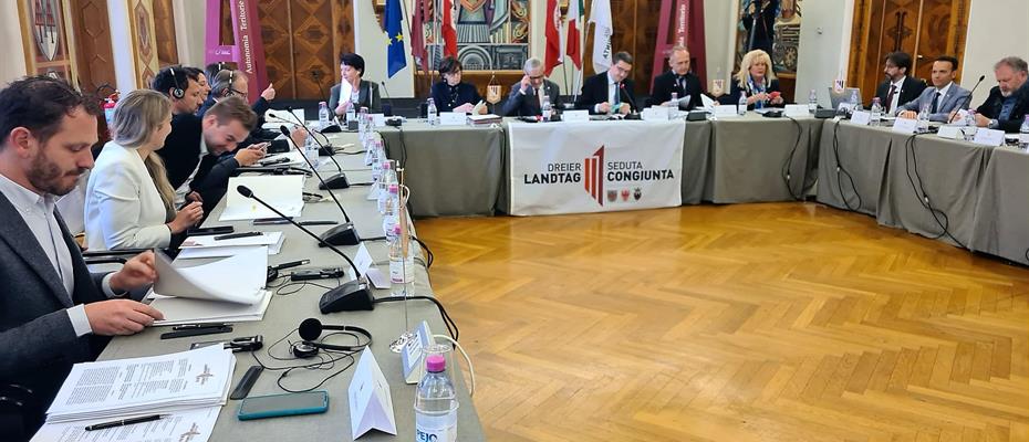 Verso l'assemblea del Dreier Landtag di giugno: ammesse 21 proposte di mozione