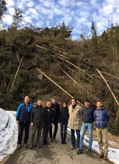 Tempesta Vaia: si studiano tutte le soluzioni