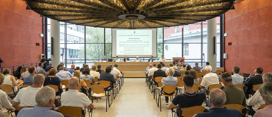 Grandi carnivori: tutti uniti in nome della sicurezza