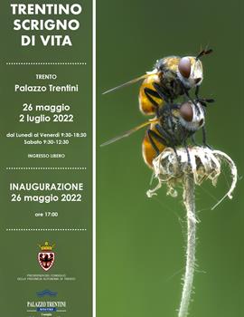 La locandina della mostra Trentino scrigno di vita