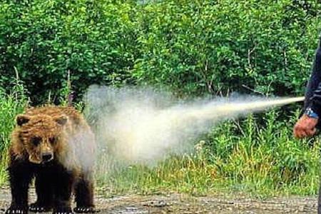Lo spray anti orso andrebbe utilizzato, ma in Italia è vietato. La Pat ne  chiede la