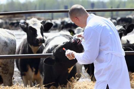 Approvata in aula la legge che crea una rete di sorveglianza epidemiologica e veterinario-aziendale